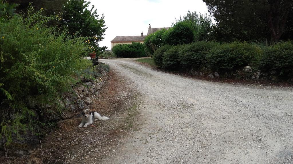 Maison D'Hotes Afrika Du Queyroux Ginestet Buitenkant foto
